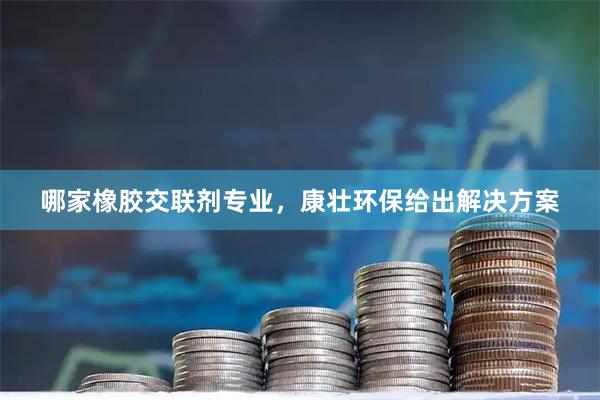 哪家橡胶交联剂专业，康壮环保给出解决方案